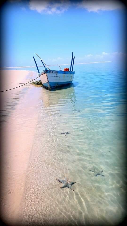 Dhow resting in the clear shallows