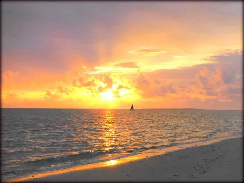 Golden sunset